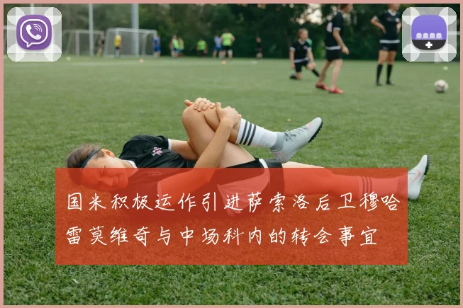 国米积极运作引进萨索洛后卫穆哈雷莫维奇与中场科内的转会事宜